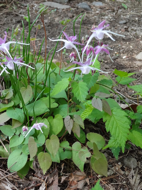 c0279611_2049139.jpg