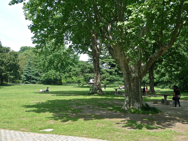 e0157816_11191825.jpg