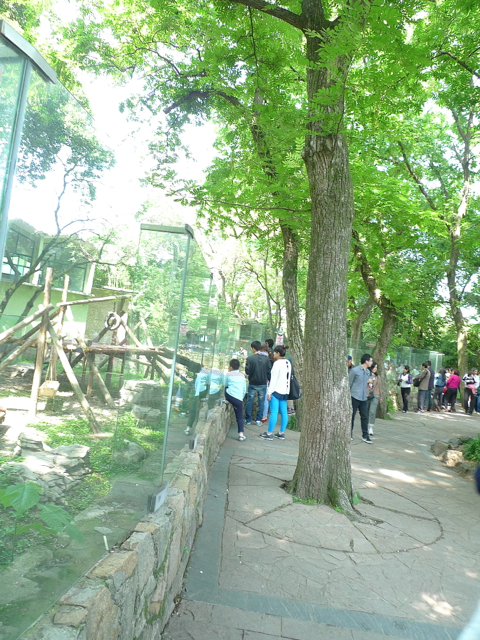 e0157816_13402499.jpg
