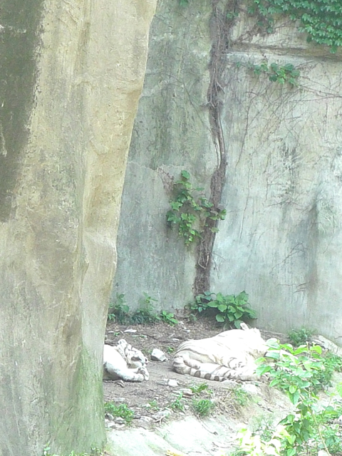 e0157816_13444840.jpg