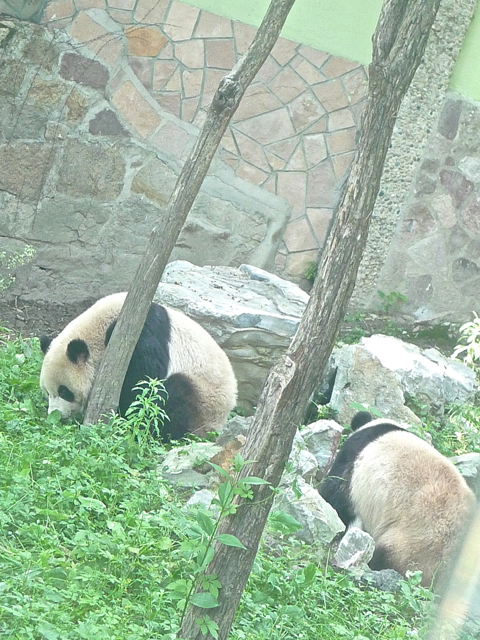 e0157816_13512819.jpg