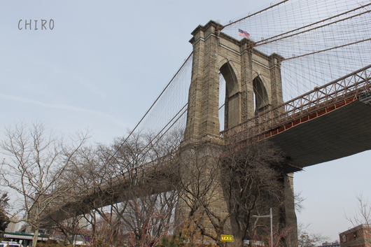f0293522_8131396.jpg