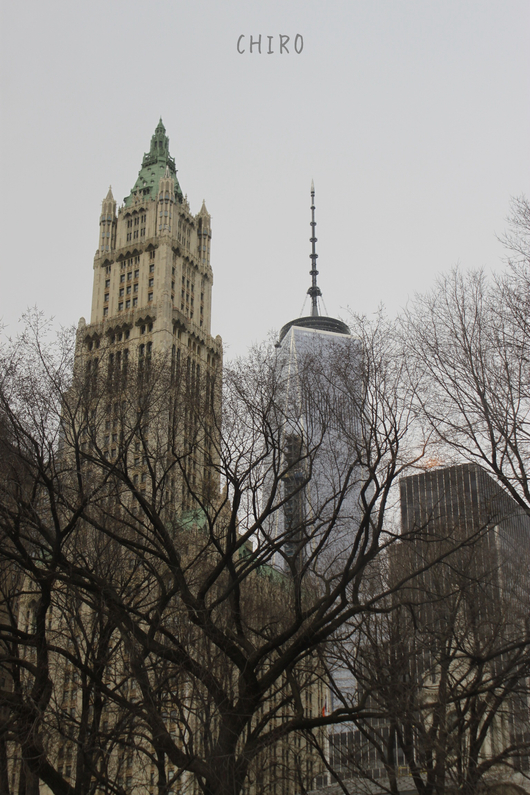 f0293522_8134118.jpg