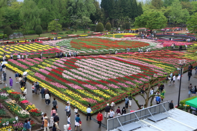 e0133025_21372219.jpg