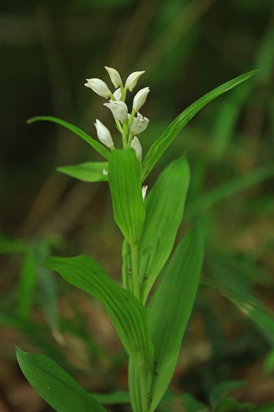 c0104227_842276.jpg