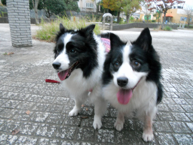 d0059230_16581499.jpg