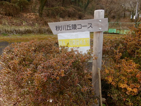 b0281732_5351116.jpg
