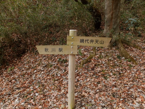b0281732_535943.jpg