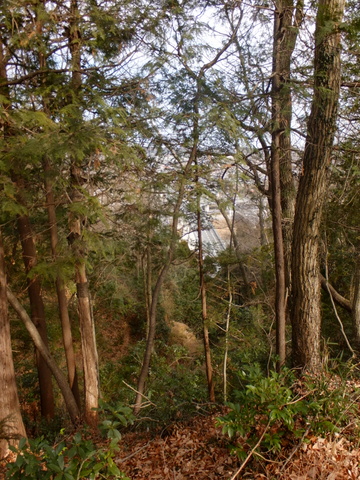 b0281732_5362518.jpg