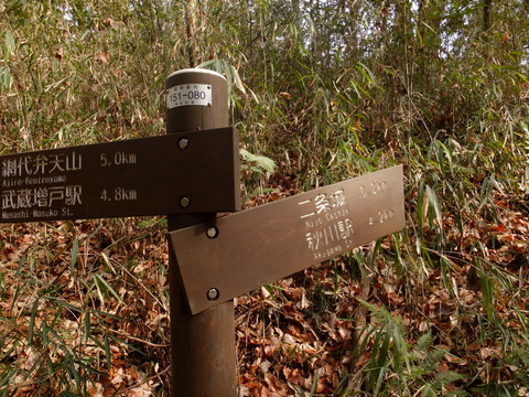 b0281732_538768.jpg