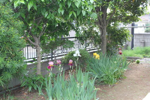 e0166032_22260672.jpg