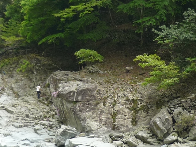 a0272033_2225551.jpg