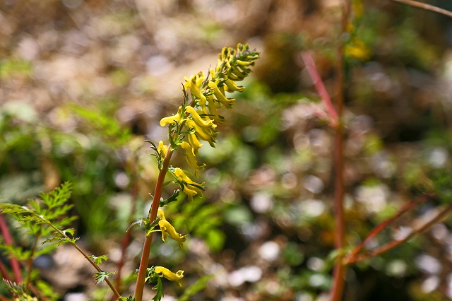 a0242438_19351468.jpg