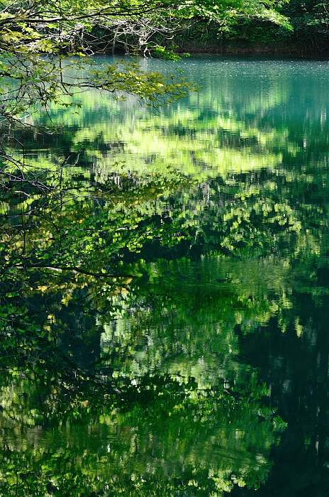 e0055138_20154130.jpg