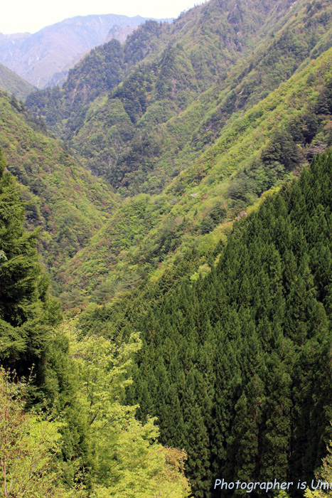 e0083238_22411261.jpg