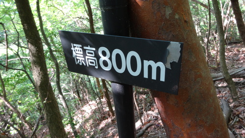 a0289641_2394839.jpg