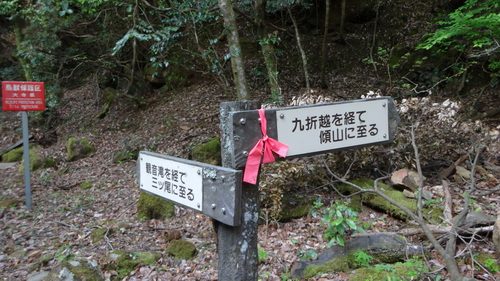 a0289641_7533775.jpg