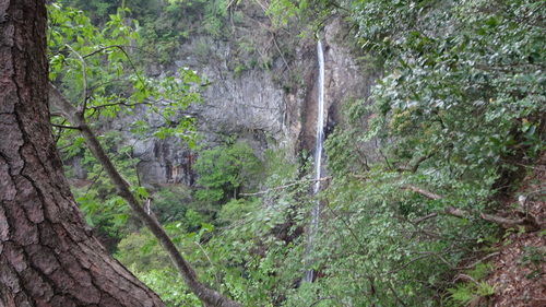 a0289641_755753.jpg