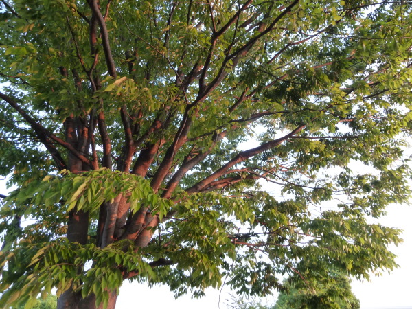 d0288144_00213048.jpg