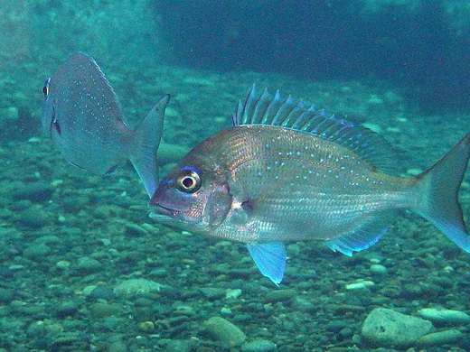 b0236647_14325016.jpg