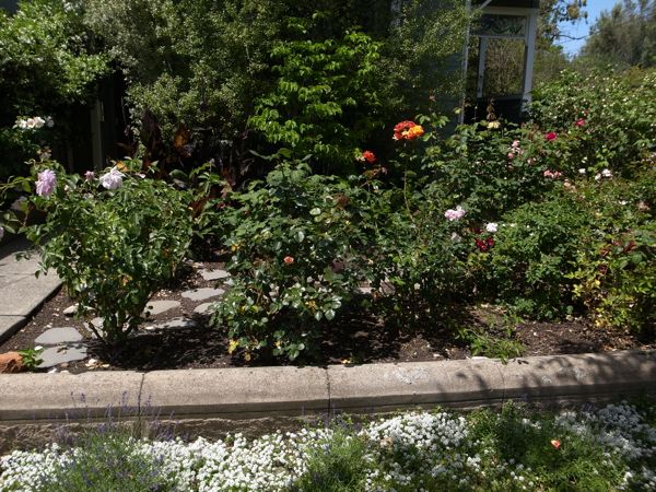 c0245349_9593615.jpg
