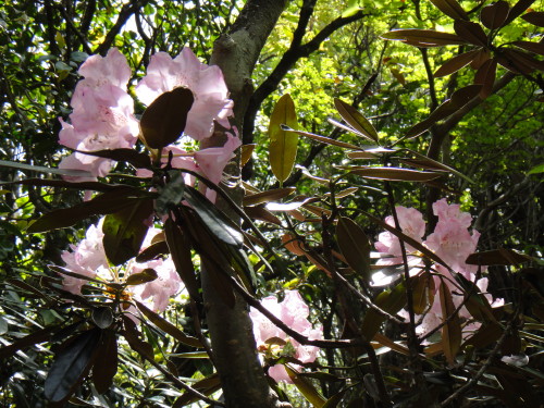 c0179351_2053304.jpg