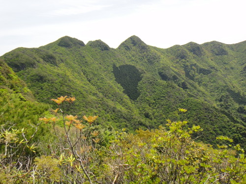 c0179351_2056054.jpg