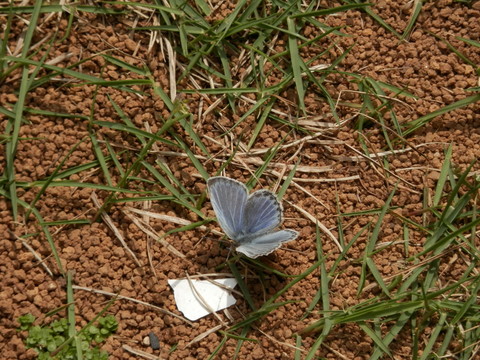 e0288951_15561267.jpg