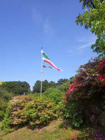 f0201157_00294154.jpg