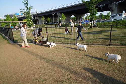 c0298565_23533721.jpg