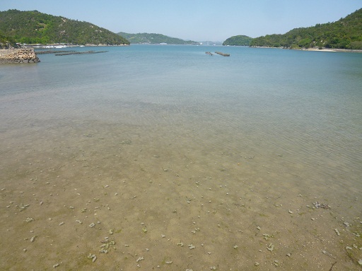 e0175370_13281669.jpg