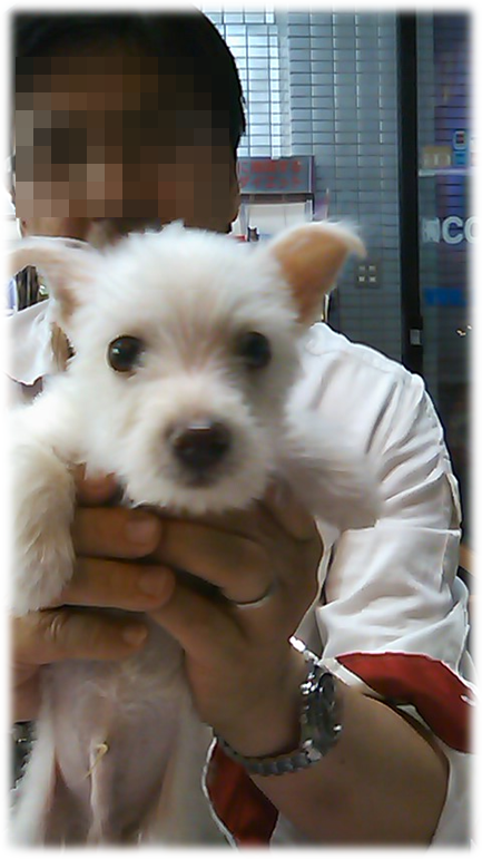 b0242873_01315440.png