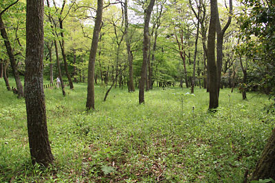 c0152779_1948690.jpg