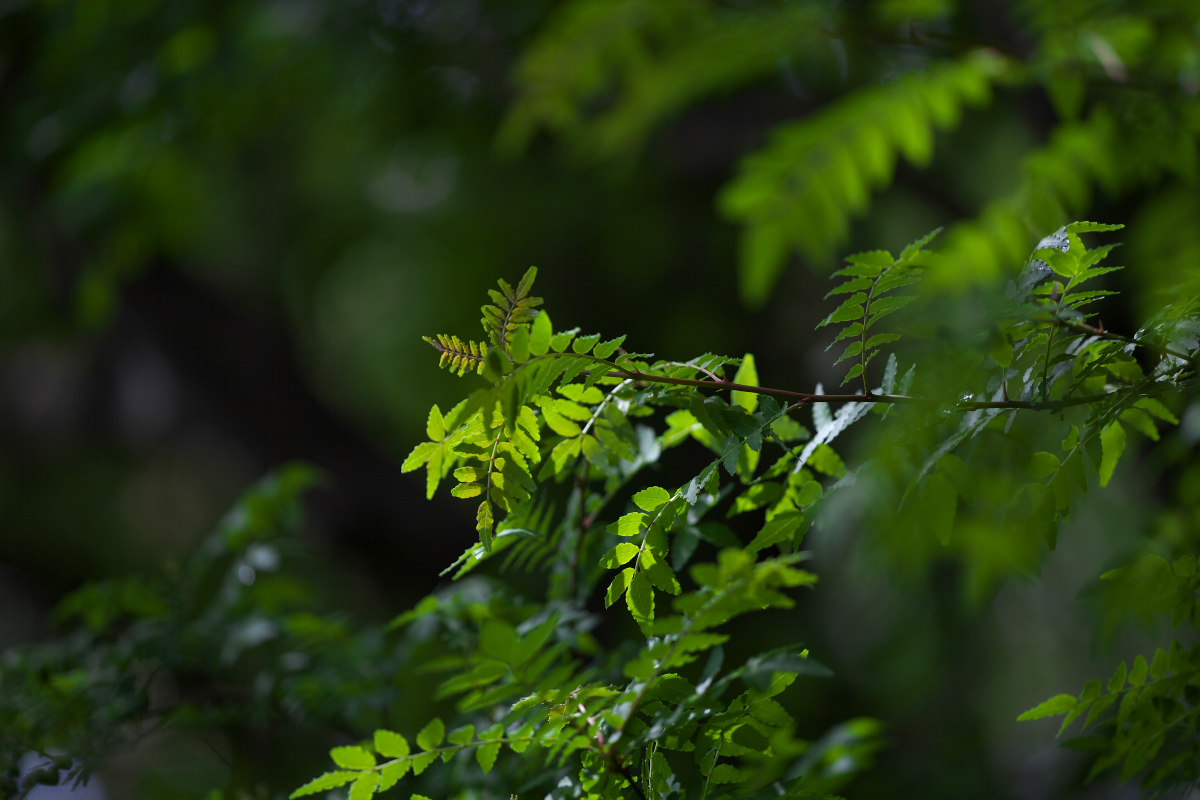 a0083081_1636301.jpg