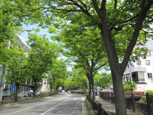 a0251786_21103718.jpg
