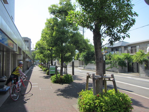 a0251786_21213338.jpg