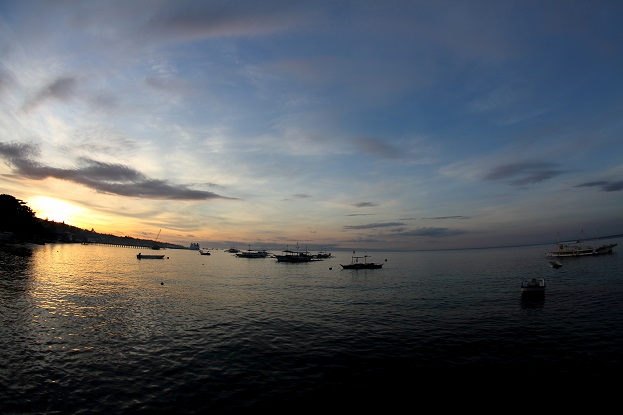 a0109187_702334.jpg