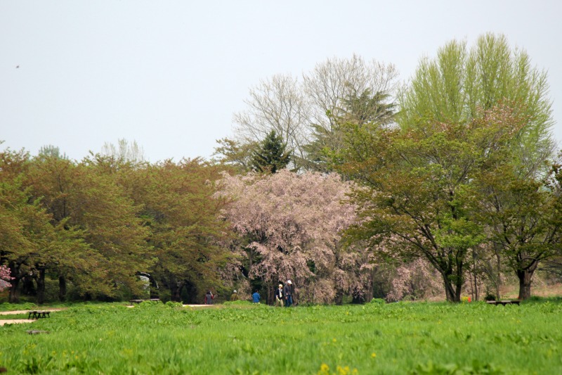a0127090_21144186.jpg