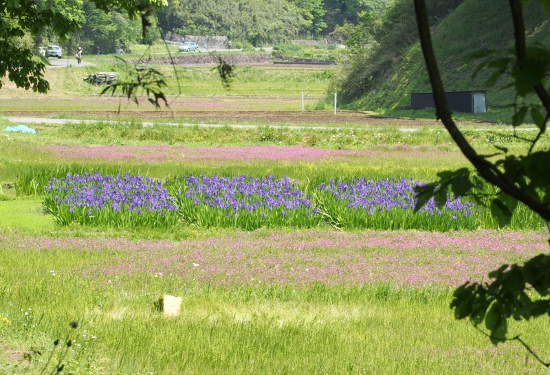 b0194593_08433895.jpg