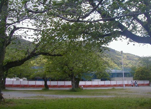 d0053294_0513474.jpg
