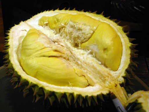f0013998_168741.jpg
