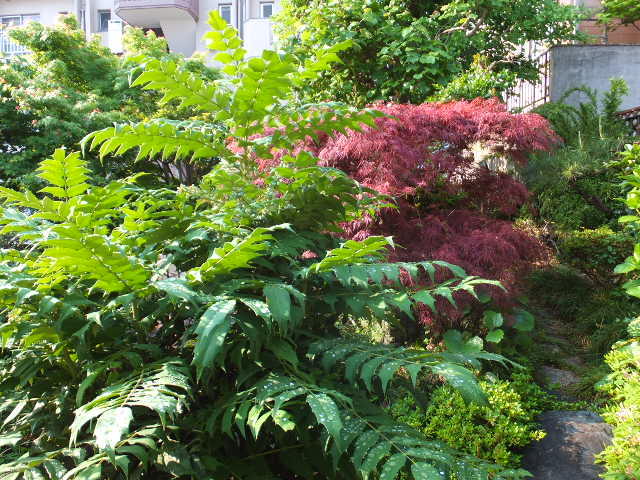 a0271502_115524.jpg