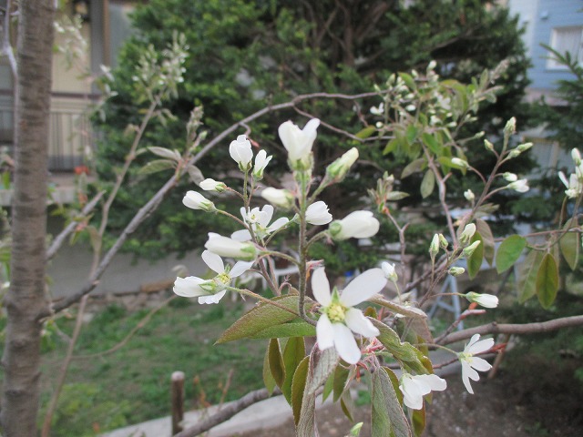 f0202703_9255567.jpg