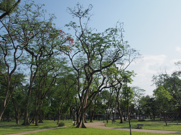 d0252505_22474566.jpg