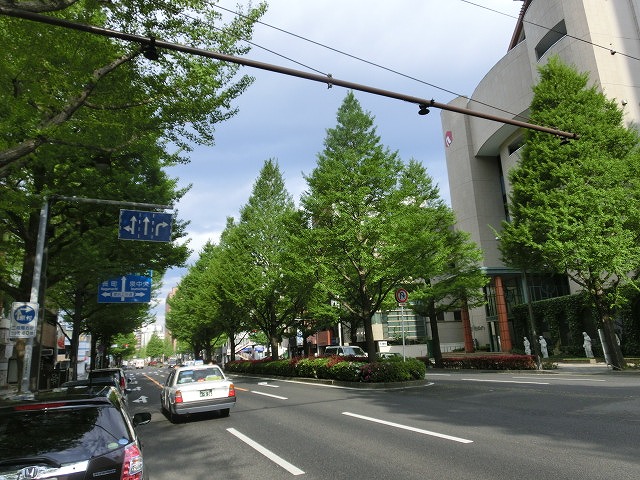 f0141310_825035.jpg