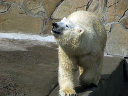a0151913_0415827.jpg