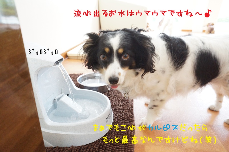 d0220513_15525639.jpg