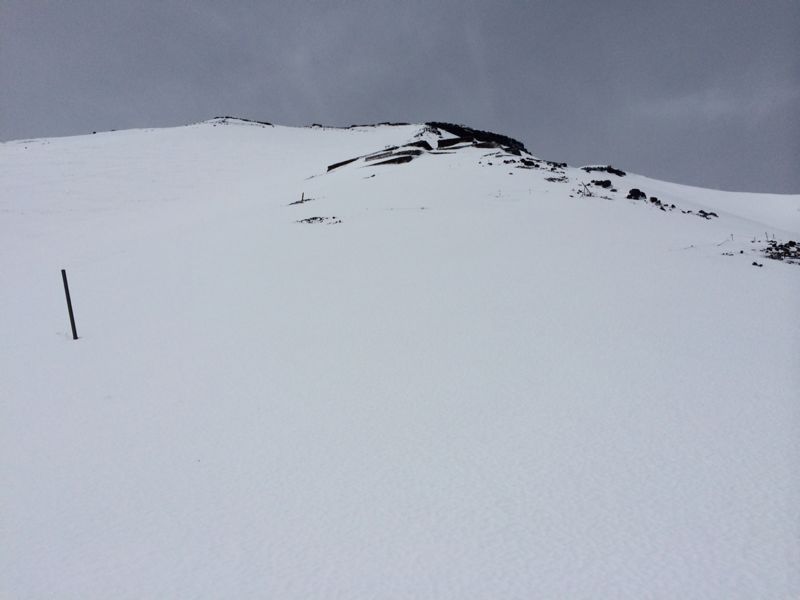 c0210618_074813.jpg