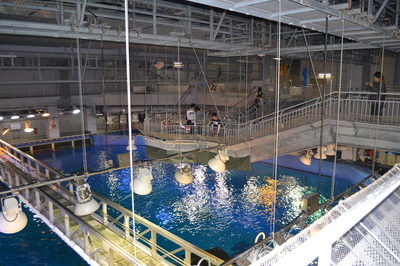 b0121019_20413369.jpg
