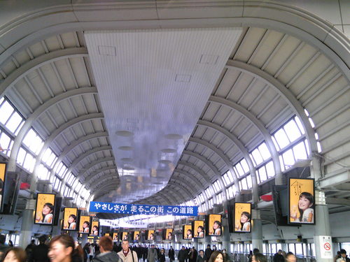 b0285619_1637732.jpg